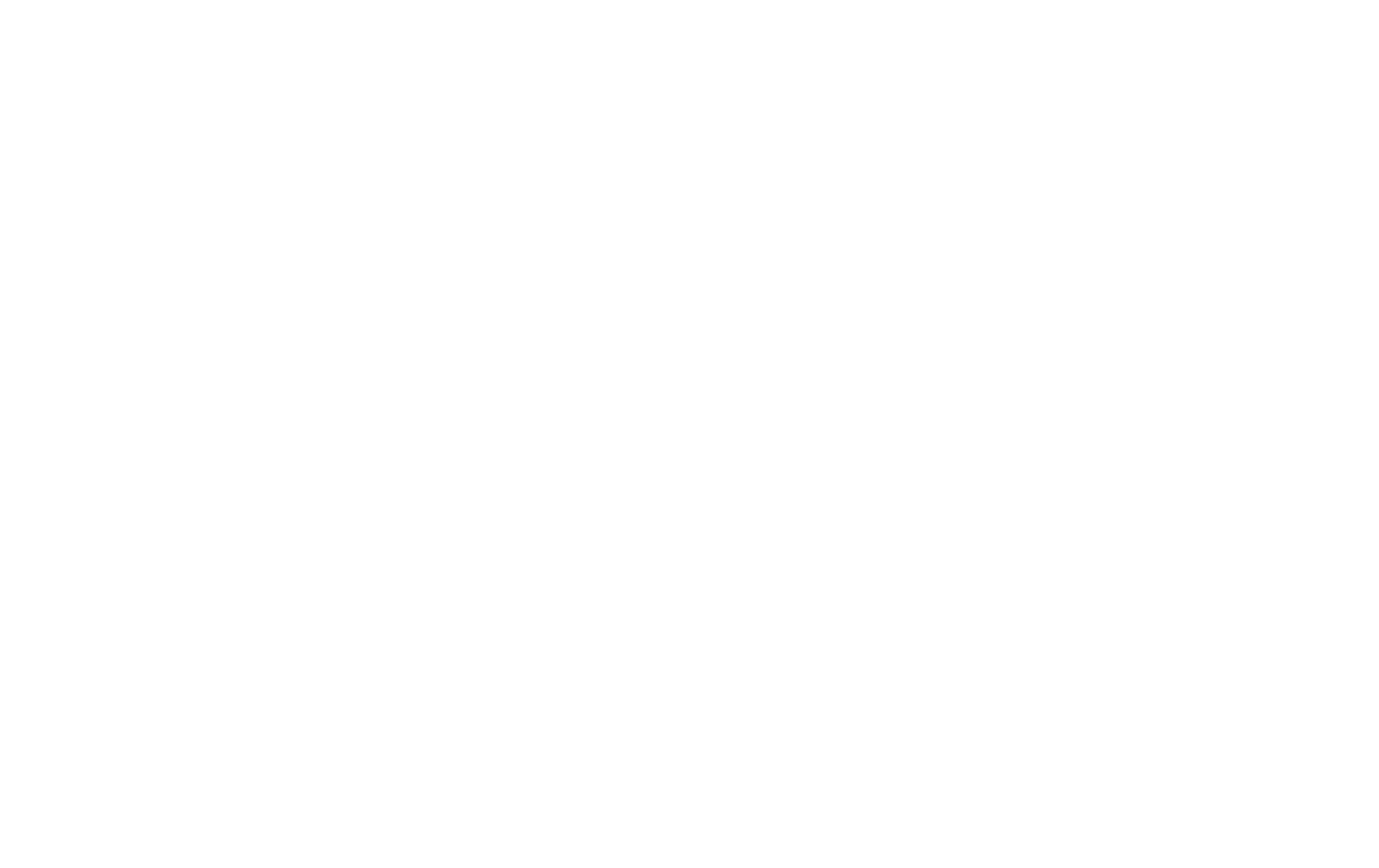 300dpi_Logo_White